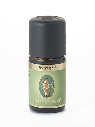 Ravintsara bio 5ml Ätherisches Öl Primavera 5 ml