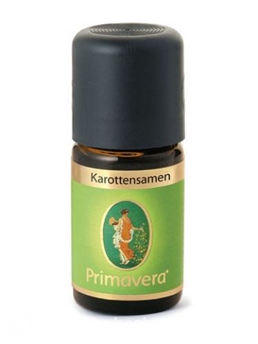 Karottensamen 5 ml 5 ml